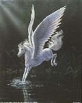 pic for Pegasus