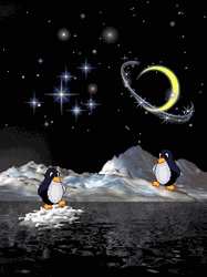 pic for Penguen