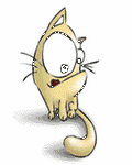 pic for PennCat