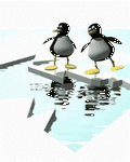 pic for Pinguins