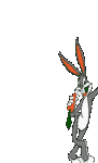 pic for Rabbit