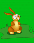 pic for Rabitt