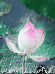 pic for Raining