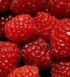pic for Raspberries