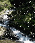 pic for River