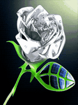 pic for Rose