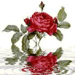 pic for Rose
