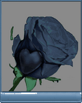 pic for Roses
