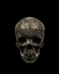 pic for SKULL