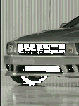pic for Saleen