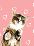 pic for SchleckMieze