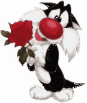 pic for Silvester
