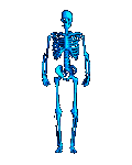 pic for Skelleton