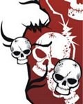 pic for Skull&Red