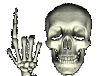 pic for Skull