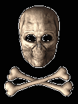 pic for Skull