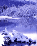 pic for Snow