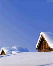 pic for Snow