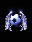 pic for SoccerBallWings