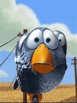 pic for Sparrows
