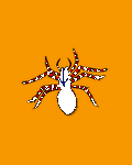 pic for Spider