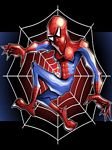 pic for Spiderman