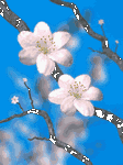 pic for Spring