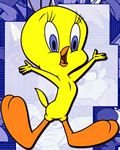 pic for TWEETY
