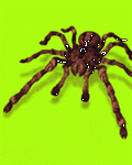 pic for Tarantula