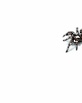 pic for Tarantula