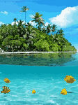 pic for Tropical