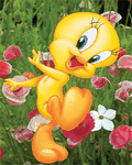 pic for Tweety