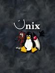 pic for UNIX
