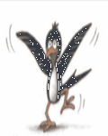 pic for Wacky