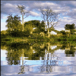 pic for Water