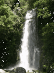 pic for Waterfall