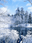 pic for Winter
