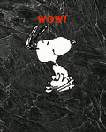 pic for Wow