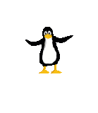 pic for backflip