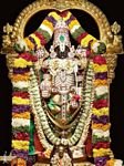 pic for balaji