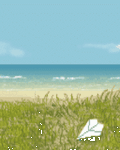 pic for beach