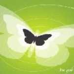 pic for borboleta