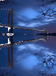 pic for brug