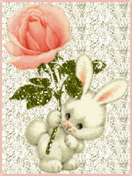 pic for bunny