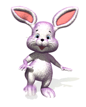 pic for bunny