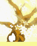 pic for butterflies