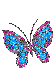 pic for butterfly