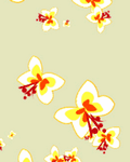 pic for butterfly