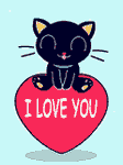 pic for cats