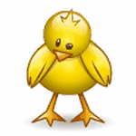pic for chick